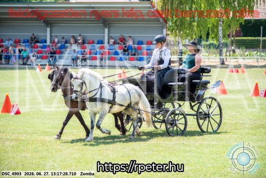 Mintakép 20260627-1594