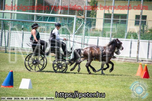 Mintakép 20260627-1596