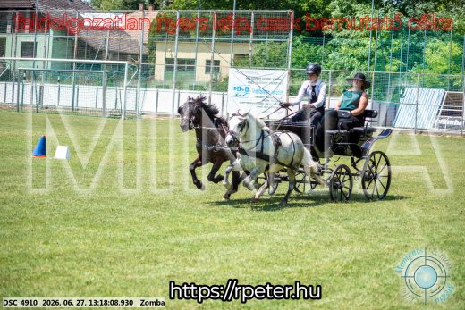 Mintakép 20260627-1599