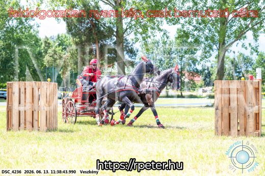 Mintakép 20260613-475