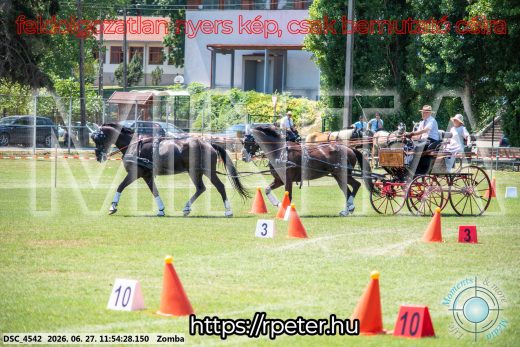 Mintakép 20260627-1622