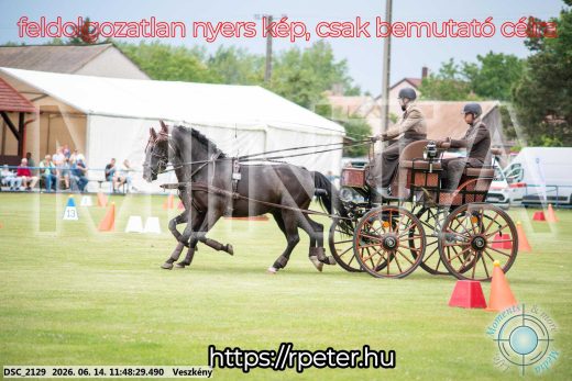 Mintakép 20260614-106