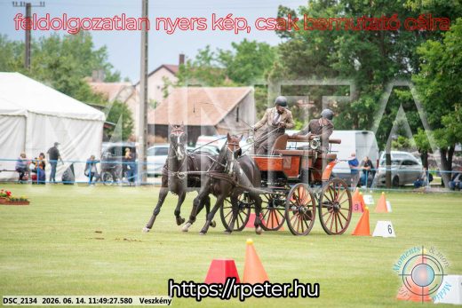 Mintakép 20260614-107
