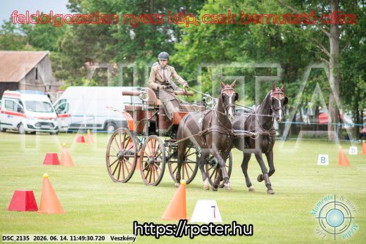 Mintakép 20260614-108