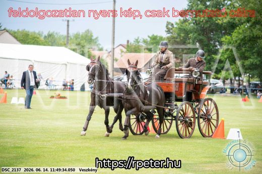 Mintakép 20260614-110