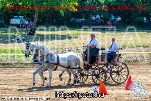 20260627-100153-DSC_4218.jpg