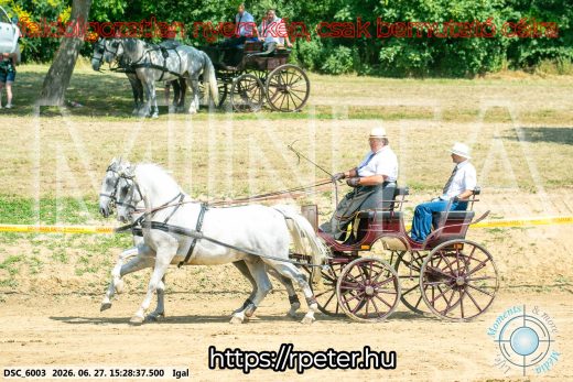 Mintakép 20260627-1656