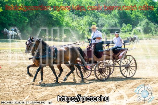 Mintakép 20260627-1668