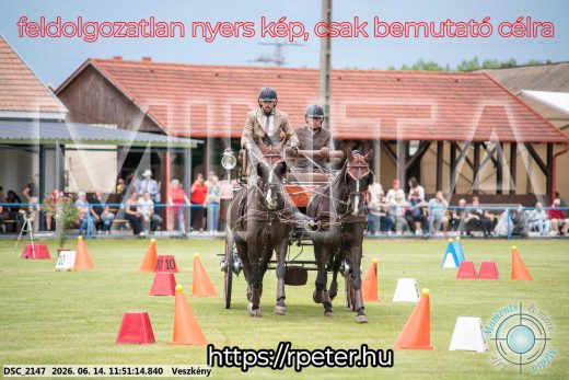 Mintakép 20260614-119