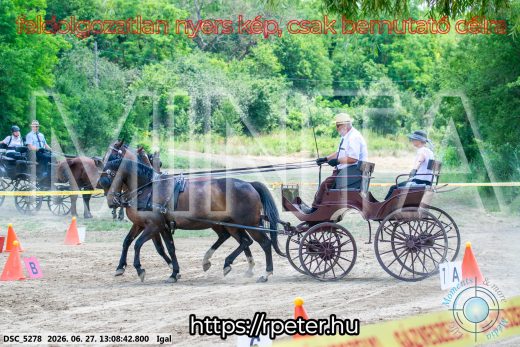 Mintakép 20260627-1677