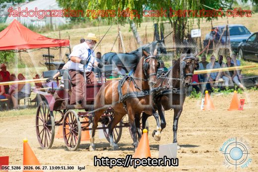 Mintakép 20260627-1682