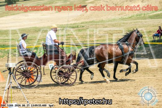 Mintakép 20260627-1684