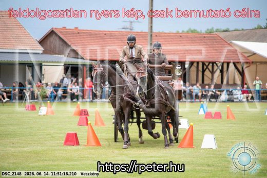 Mintakép 20260614-120