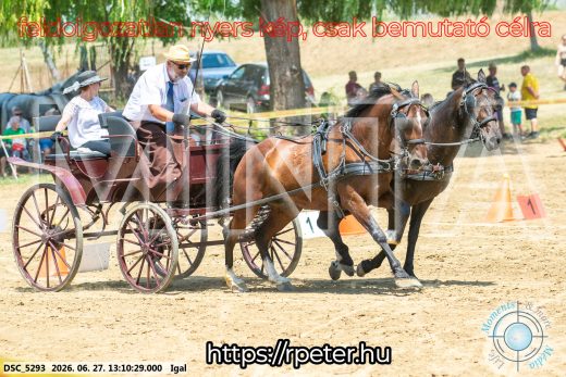 Mintakép 20260627-1687