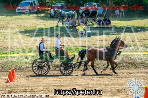 Mintakép 20260627-1694