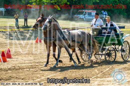 Mintakép 20260627-1695