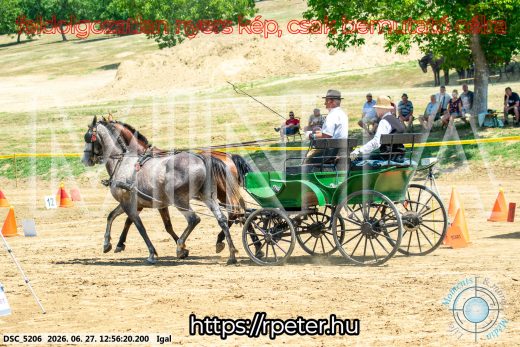 Mintakép 20260627-1696