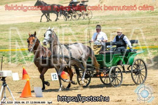 Mintakép 20260627-1702