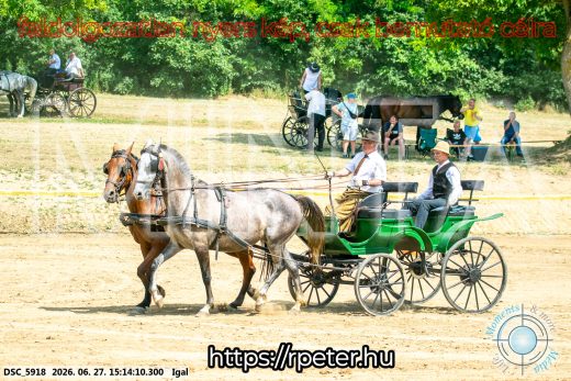 Mintakép 20260627-1711