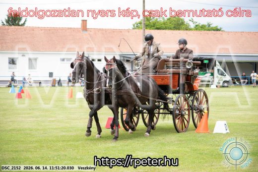 Mintakép 20260614-124
