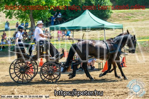 Mintakép 20260627-1768