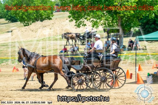 Mintakép 20260627-1769