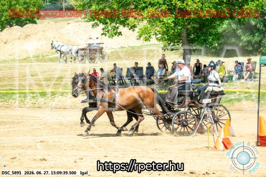 Mintakép 20260627-1784