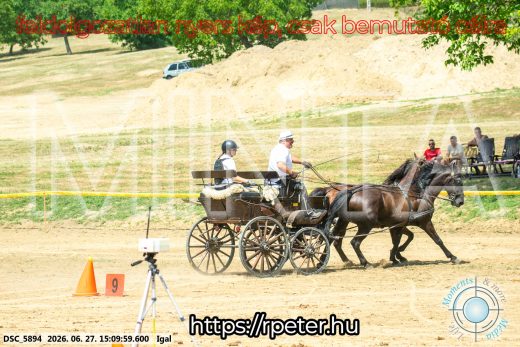 Mintakép 20260627-1787