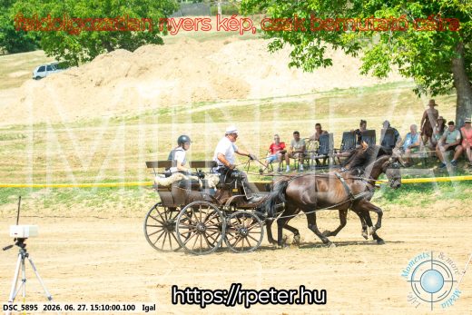 Mintakép 20260627-1788