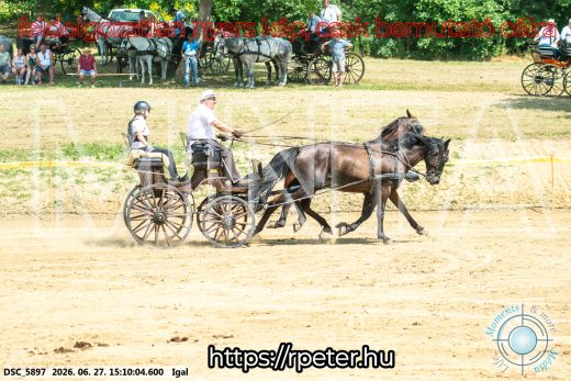 Mintakép 20260627-1790