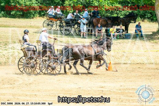 Mintakép 20260627-1791
