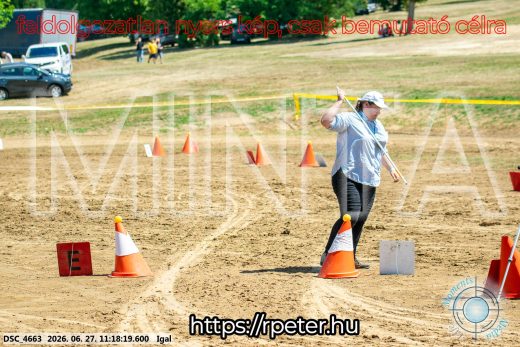Mintakép 20260627-1799