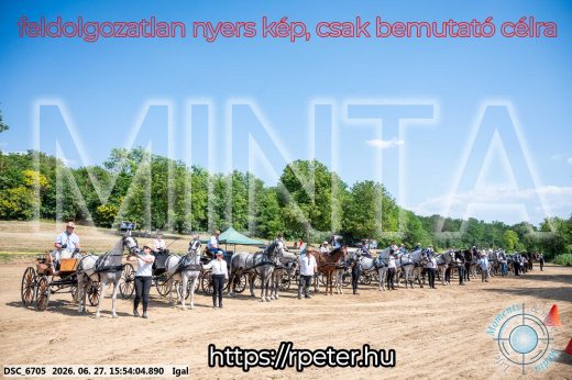 Mintakép 20260627-1813