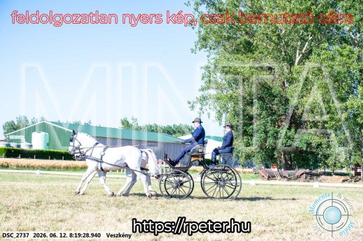 Mintakép 20260612-18