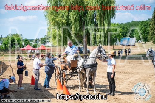 Mintakép 20260627-1849