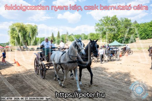Mintakép 20260627-1859