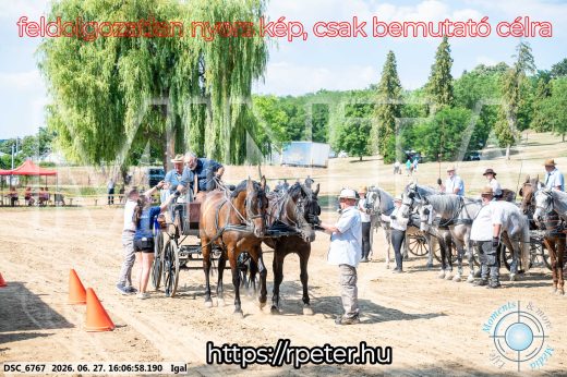 Mintakép 20260627-1870