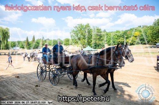Mintakép 20260627-1872