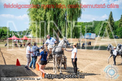 Mintakép 20260627-1877