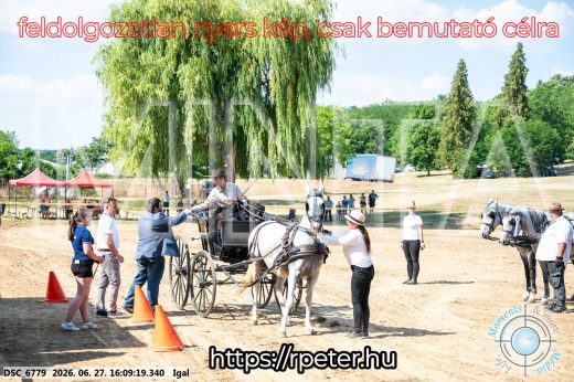 Mintakép 20260627-1882