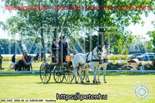 Mintakép 20260612-25