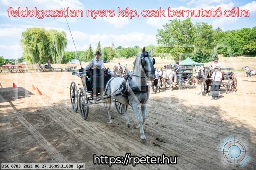 Mintakép 20260627-1885