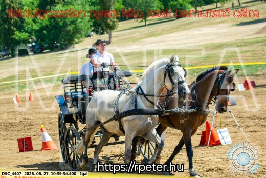 20260627-103934-DSC_4407.jpg