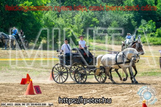 Mintakép 20260627-1896