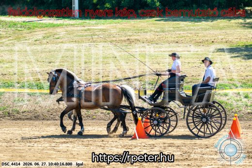 Mintakép 20260627-1898