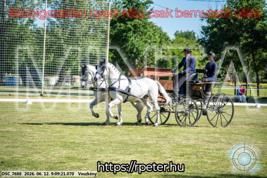 Mintakép 20260612-33