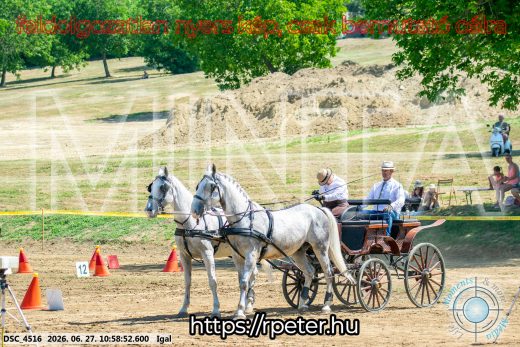 Mintakép 20260627-1973
