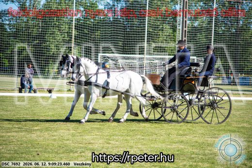 Mintakép 20260612-37