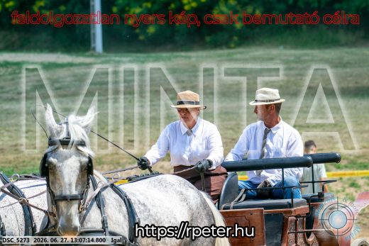 Mintakép 20260627-2011