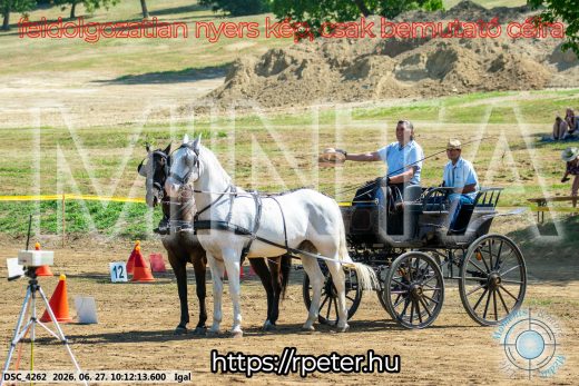 20260627-101213-DSC_4262.jpg